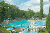 Dolphin Hotel 